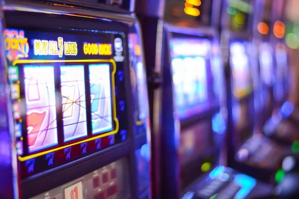 Multi-bet history and results dashboard